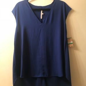 Rachel Roy Blue Blouse